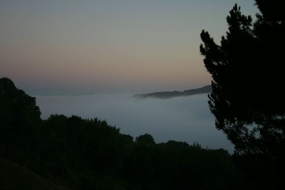 wildcat canyon