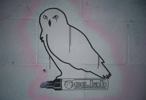 co.lab owl