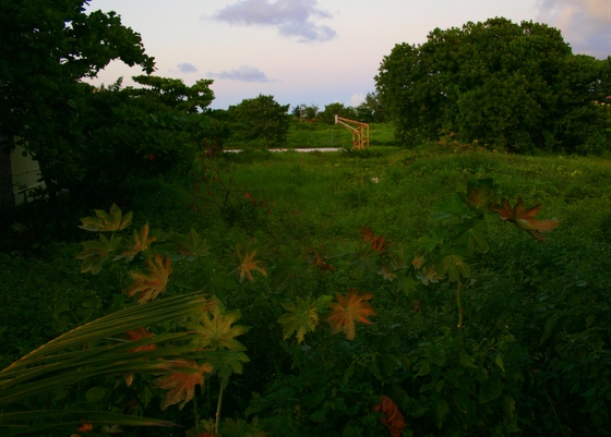 isla mujeres