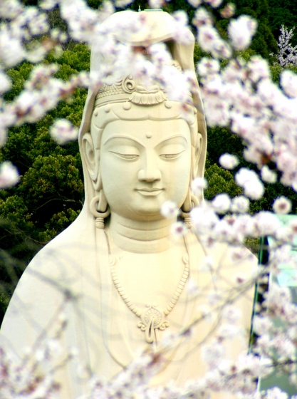 buddha statue