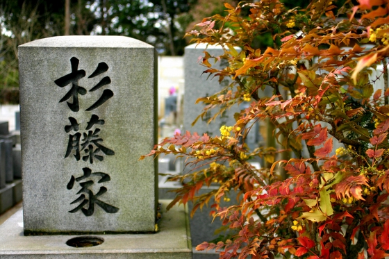 kyoto cemetery